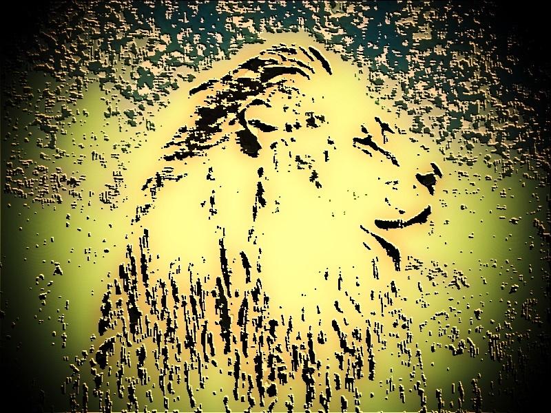 THE LION