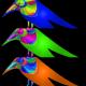  Colored Birds