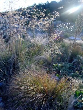 goldney's garden