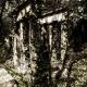 Jewish cemetery, Budapest