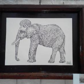 Elefante