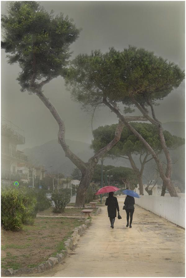 Rain in Mondello