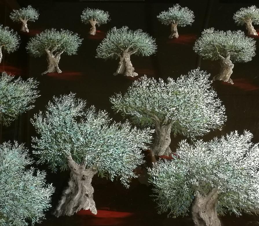 oled olive tree