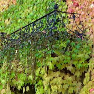 Italy. Trentino Alto Adige. Autumn colors