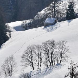 Italy. Val d'Aosta. White and his reflexes