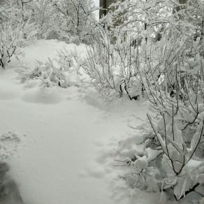 Tra neve e terremoto :"apocalisse"