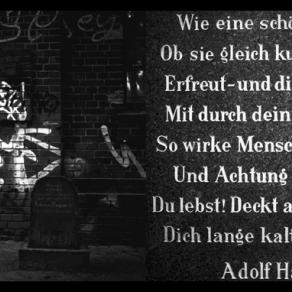 Leben - Tod