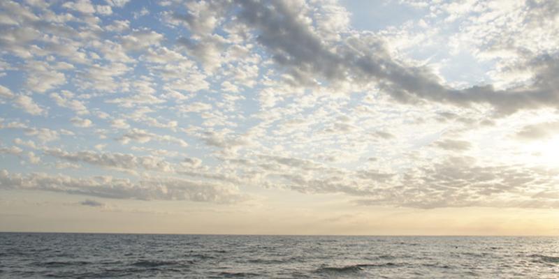 Il Maestro del Mare - per Cortoacquario Festival internazionale Cortometraggi