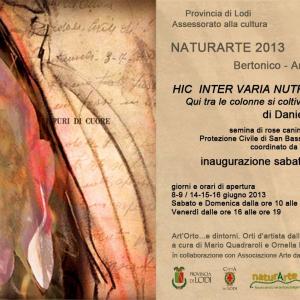 Naturarte 2013