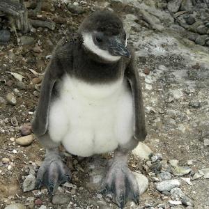 Argentina, Patagonia