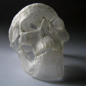 skull