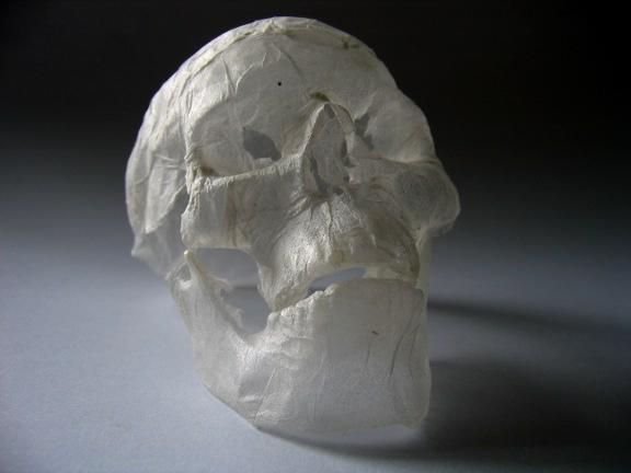 skull