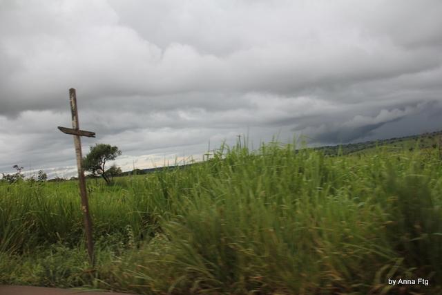 Roads of Minas Gerais - L'ultimo viaggio... 18