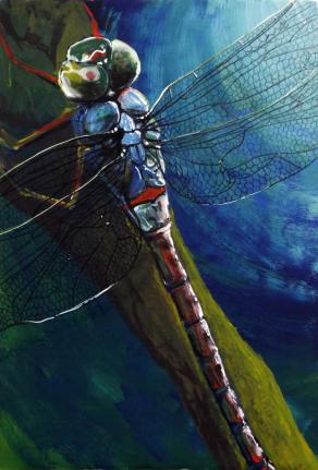 Dragonfly