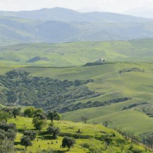 Italy. Basilicata & Campania. Dropouts and rediscovered