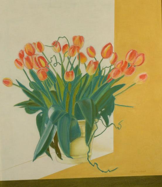 Tulipani