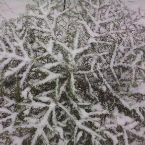 Ice-Mandala