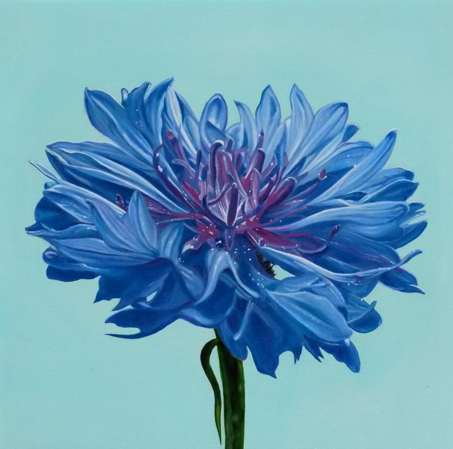 "BLUE FLOWER"