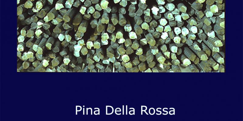 APERTURA DELLO STUDIO DELL’ARTISTA PINA DELLA ROSSA