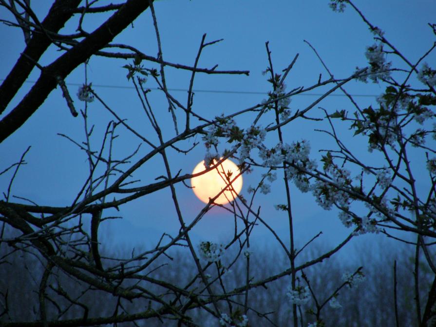 lunapiena d'aprile