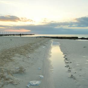 El muelle