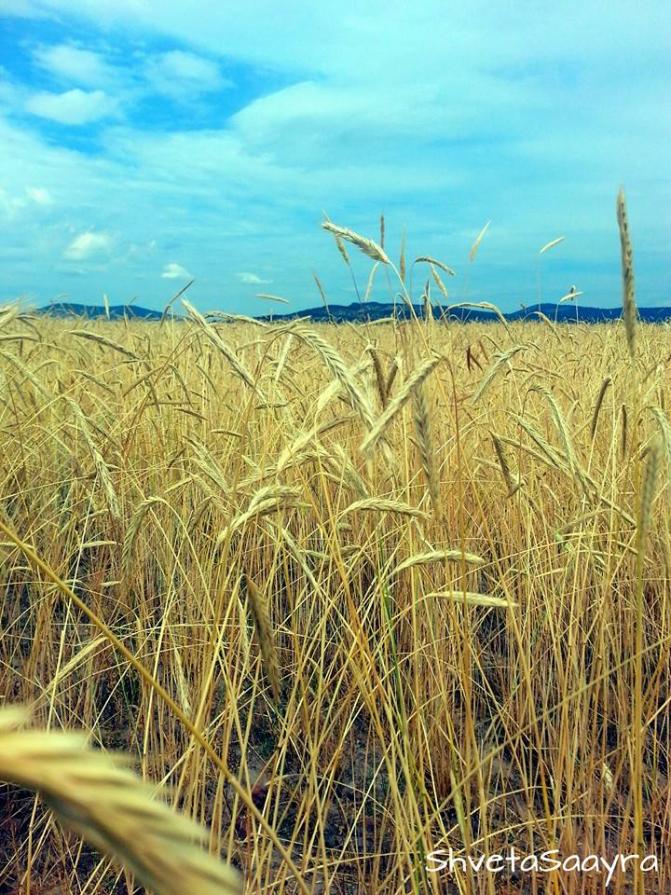 Make hay while the sun shines