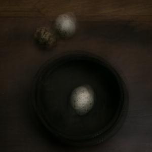 Perceptions. Quail Eggs In Bowl