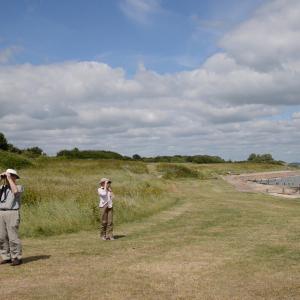 Estuary Stories (2016)