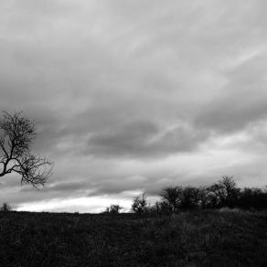 Séries noir et blanc ou séries couleurs ?