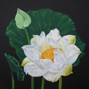 Lotus