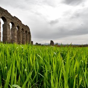 L'erba, il vento e il tempo passato