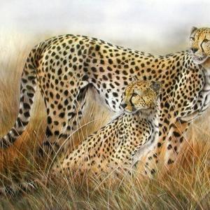 ART ANIMALIER AL CLUB LA MERIDIANA DI MODENA 