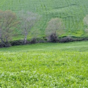 Italy. Basilicata & Campania. Dropouts and rediscovered