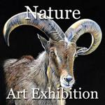 4th Annual “Nature” Art Exhibition Now Online Ready to View