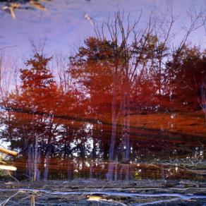 Acid MIne Drainage Sludge