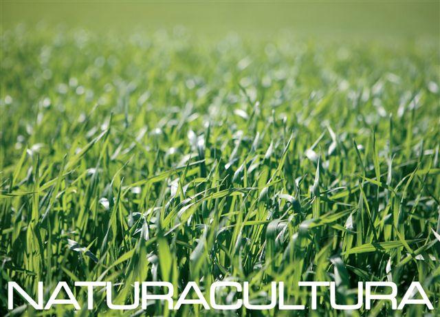 Naturacultura